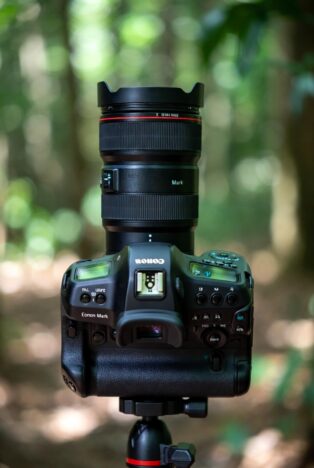 A black Canon professional DSLR camera with a large telephoto lens mounted on a tripod, viewed from the top against a blurred green forest background.